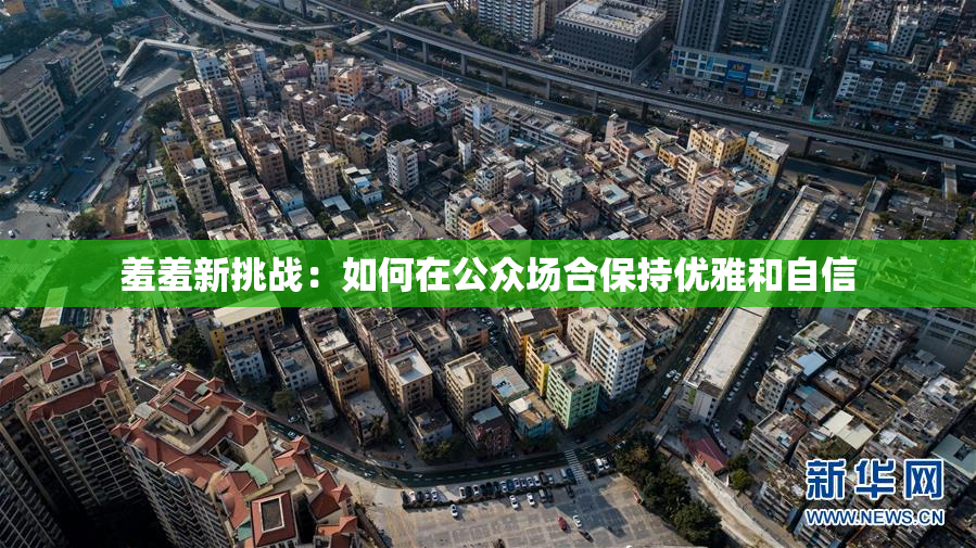 羞羞新挑战：如何在公众场合保持优雅和自信