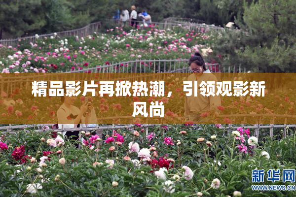 精品影片再掀热潮，引领观影新风尚