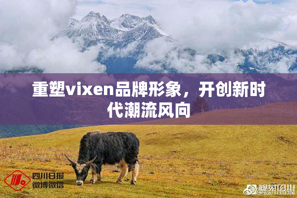 重塑vixen品牌形象，开创新时代潮流风向