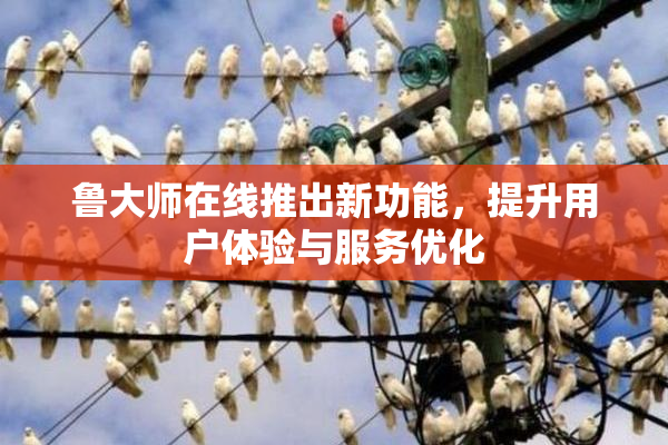 鲁大师在线推出新功能，提升用户体验与服务优化