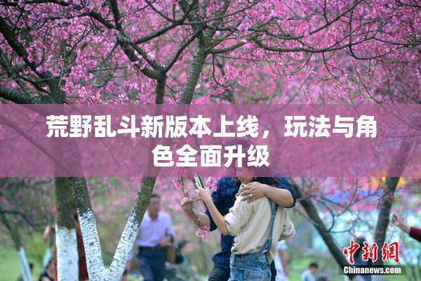 荒野乱斗新版本上线，玩法与角色全面升级