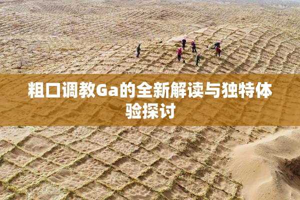 粗口调教Ga的全新解读与独特体验探讨