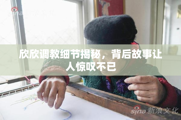 欣欣调教细节揭秘，背后故事让人惊叹不已