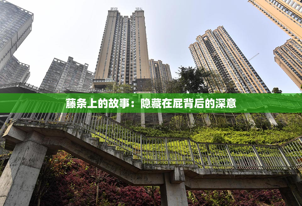 藤条上的故事：隐藏在屁背后的深意