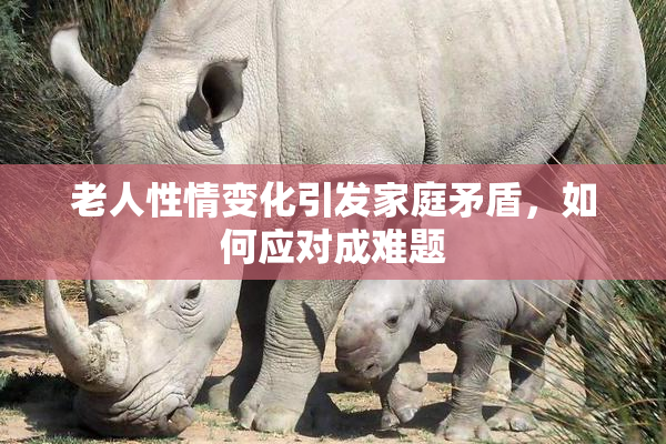 老人性情变化引发家庭矛盾，如何应对成难题