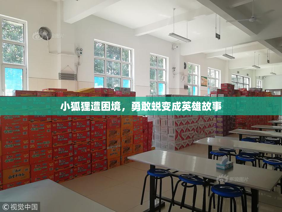 小狐狸遭困境，勇敢蜕变成英雄故事