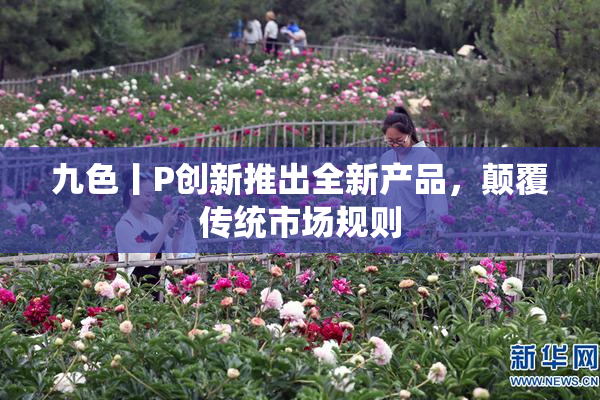 九色丨P创新推出全新产品，颠覆传统市场规则