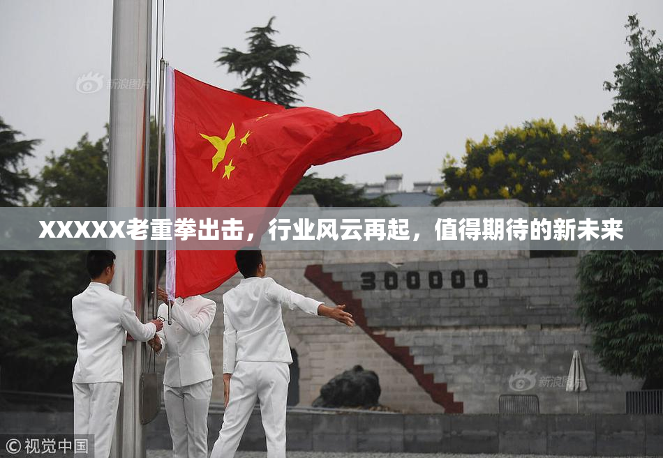 XXXXX老重拳出击，行业风云再起，值得期待的新未来