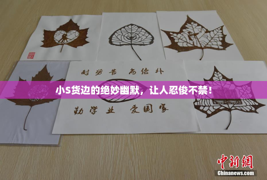 小S货边的绝妙幽默，让人忍俊不禁！