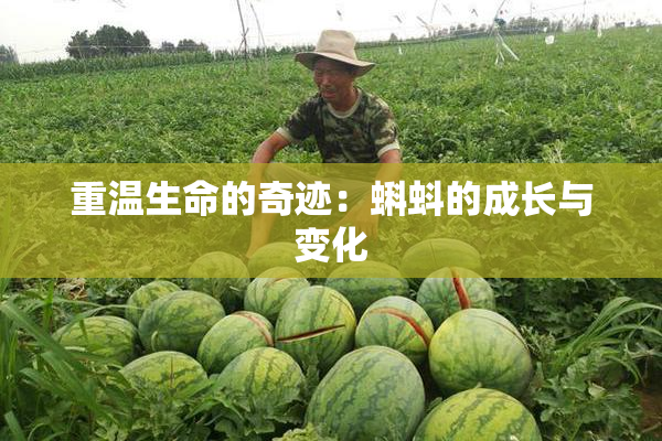 重温生命的奇迹：蝌蚪的成长与变化
