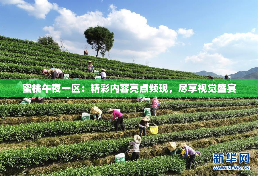 蜜桃午夜一区：精彩内容亮点频现，尽享视觉盛宴