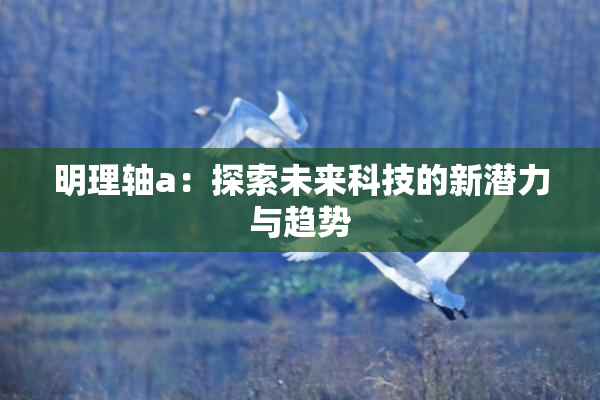 明理轴a：探索未来科技的新潜力与趋势