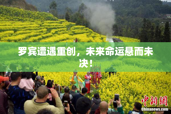 罗宾遭遇重创，未来命运悬而未决！
