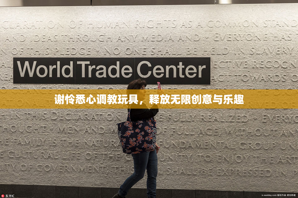 谢怜悉心调教玩具，释放无限创意与乐趣