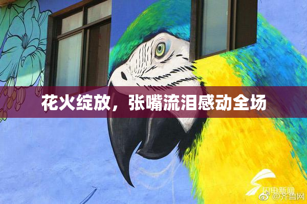 花火绽放，张嘴流泪感动全场