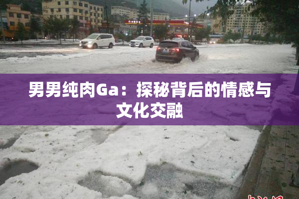男男纯肉Ga：探秘背后的情感与文化交融