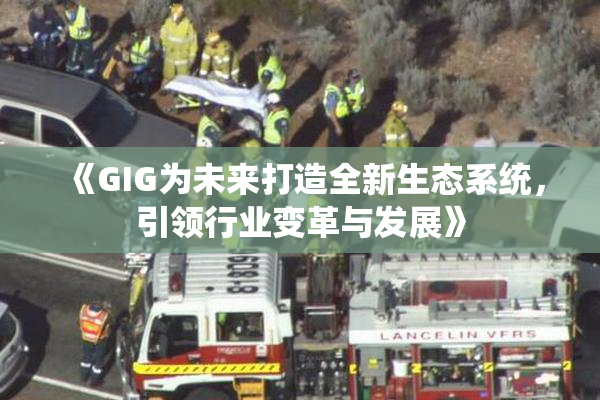 《GIG为未来打造全新生态系统，引领行业变革与发展》