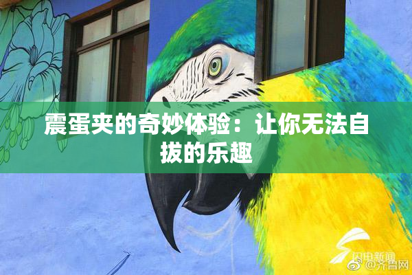 震蛋夹的奇妙体验：让你无法自拔的乐趣