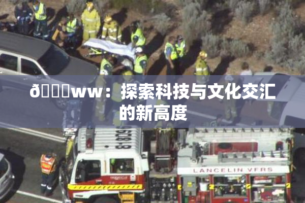 🔞ww：探索科技与文化交汇的新高度