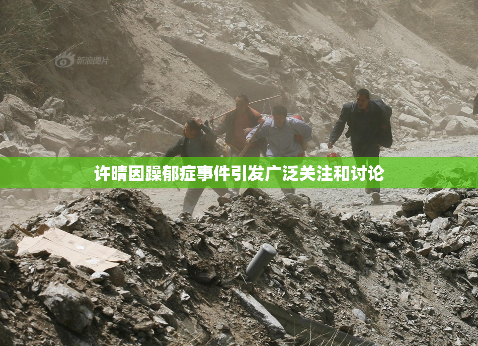 许晴因躁郁症事件引发广泛关注和讨论