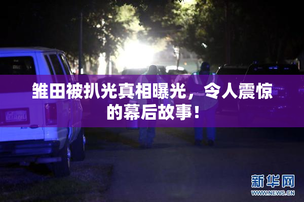 雏田被扒光真相曝光，令人震惊的幕后故事！