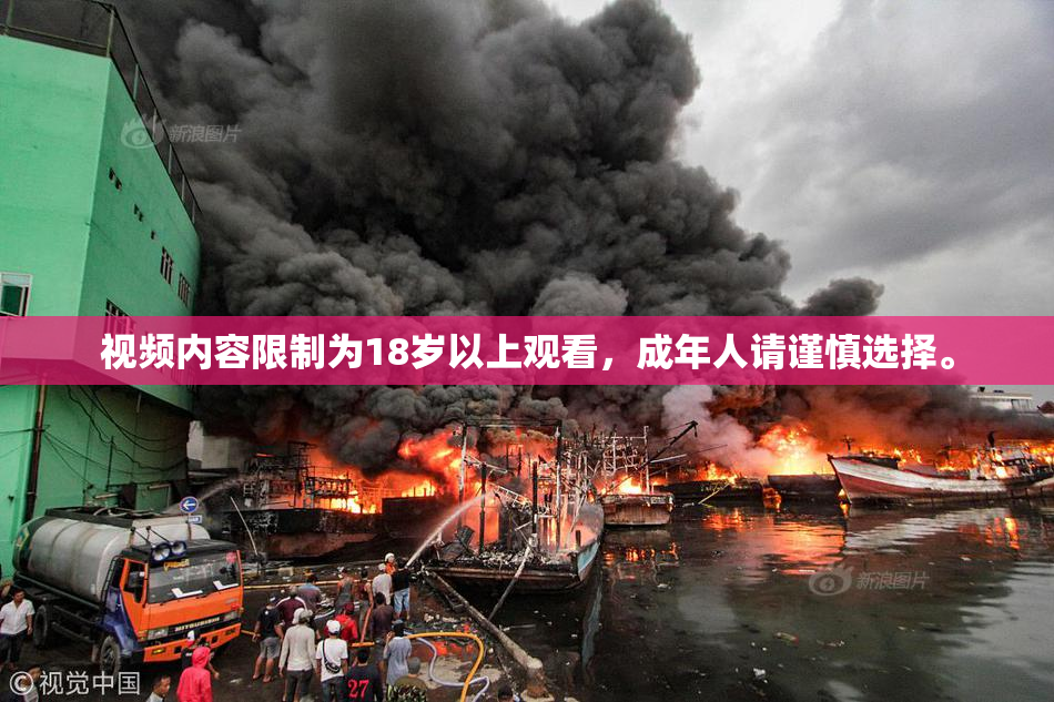 视频内容限制为18岁以上观看，成年人请谨慎选择。