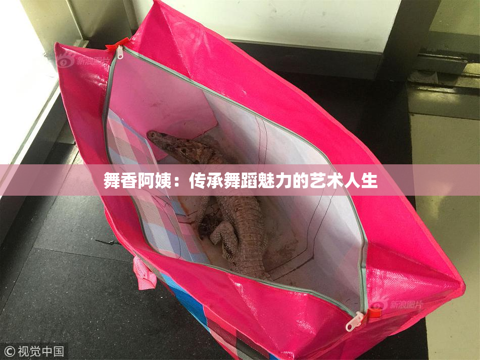 舞香阿姨：传承舞蹈魅力的艺术人生