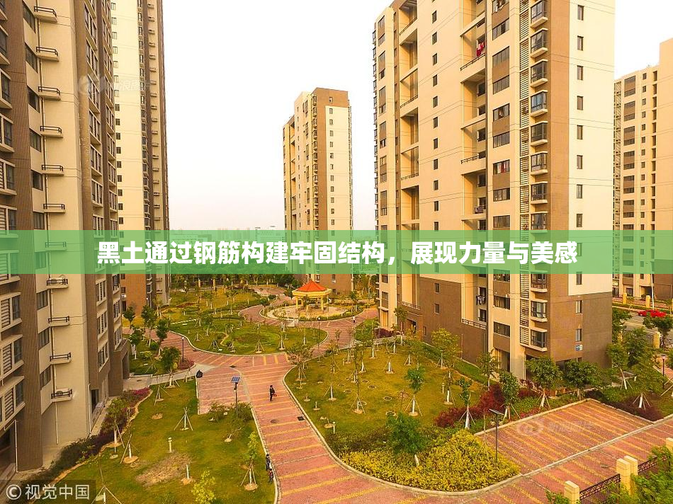 黑土通过钢筋构建牢固结构，展现力量与美感