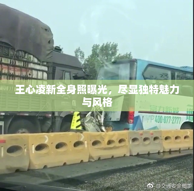王心凌新全身照曝光，尽显独特魅力与风格
