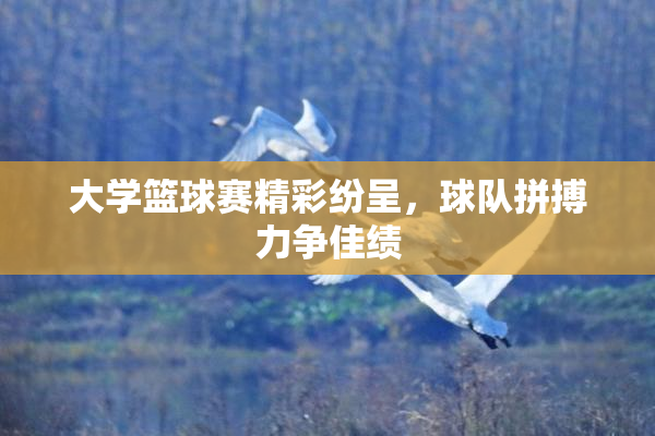 大学篮球赛精彩纷呈，球队拼搏力争佳绩