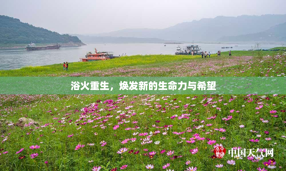 浴火重生，焕发新的生命力与希望