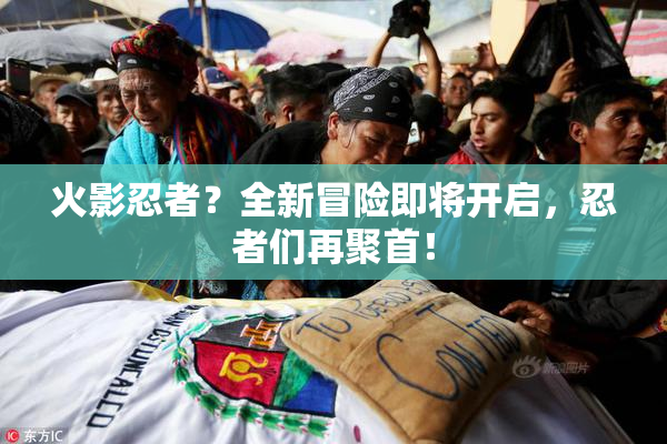 火影忍者？全新冒险即将开启，忍者们再聚首！