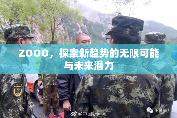 ZOOO，探索新趋势的无限可能与未来潜力