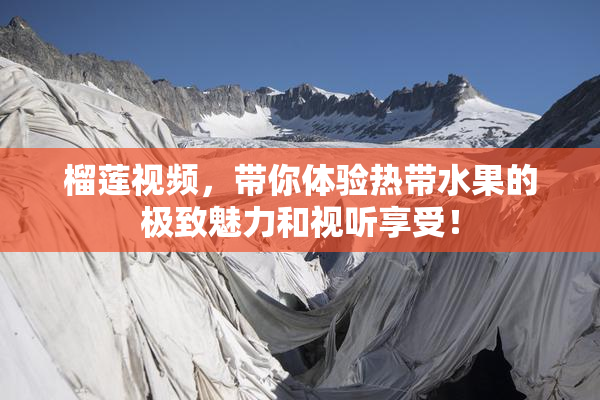 榴莲视频，带你体验热带水果的极致魅力和视听享受！