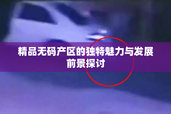 精品无码产区的独特魅力与发展前景探讨