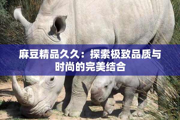 麻豆精品久久：探索极致品质与时尚的完美结合