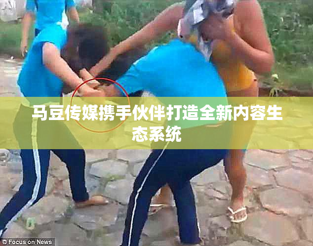 马豆传媒携手伙伴打造全新内容生态系统