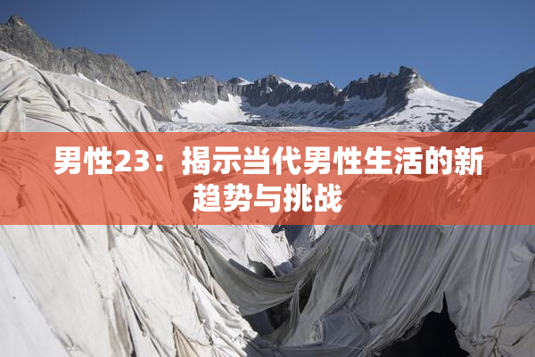 男性23：揭示当代男性生活的新趋势与挑战