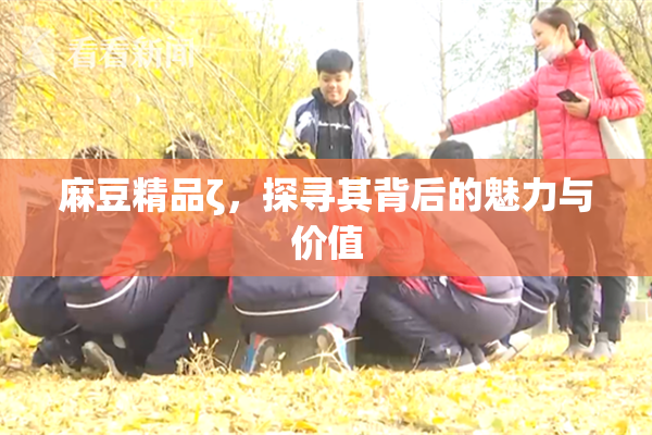 麻豆精品ζ，探寻其背后的魅力与价值