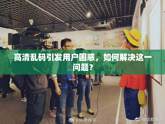 高清乱码引发用户困惑，如何解决这一问题？