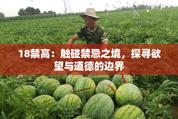 18禁高：触碰禁忌之境，探寻欲望与道德的边界