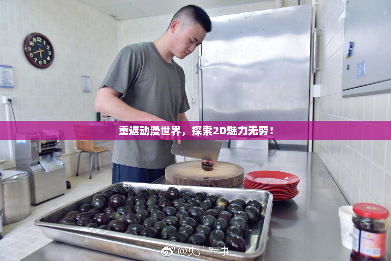 重返动漫世界，探索2D魅力无穷！
