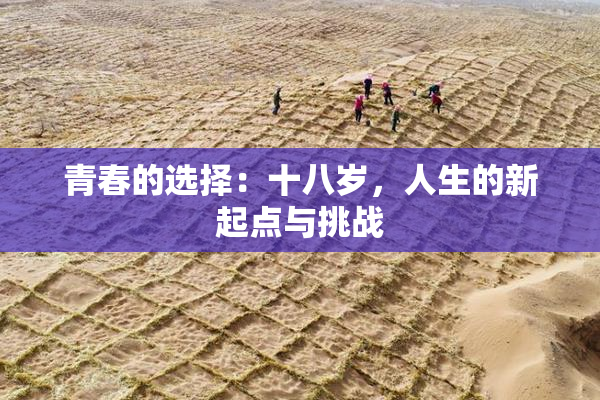 青春的选择：十八岁，人生的新起点与挑战