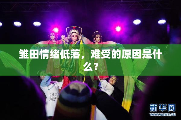 雏田情绪低落，难受的原因是什么？