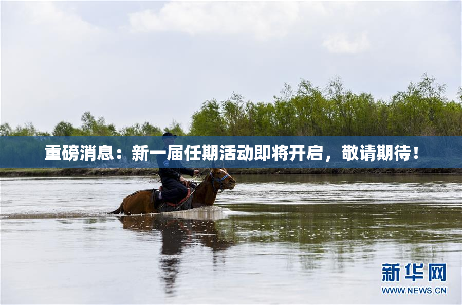 重磅消息：新一届任期活动即将开启，敬请期待！