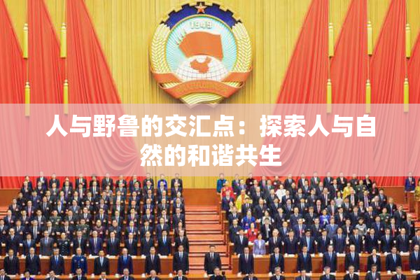 人与野鲁的交汇点：探索人与自然的和谐共生