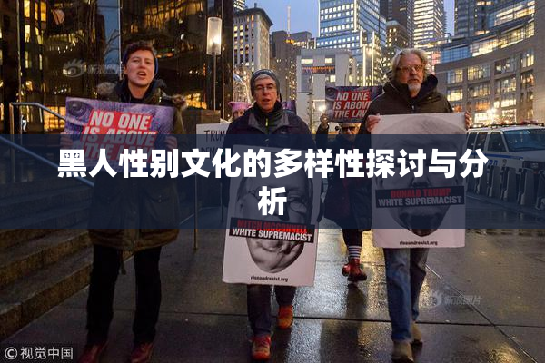黑人性别文化的多样性探讨与分析