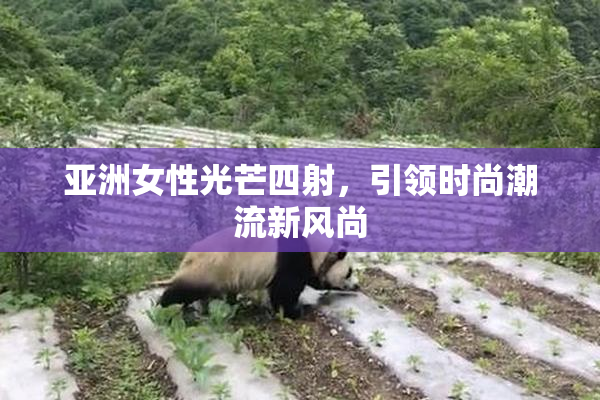 亚洲女性光芒四射，引领时尚潮流新风尚