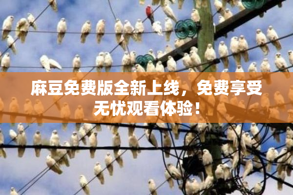 麻豆免费版全新上线，免费享受无忧观看体验！