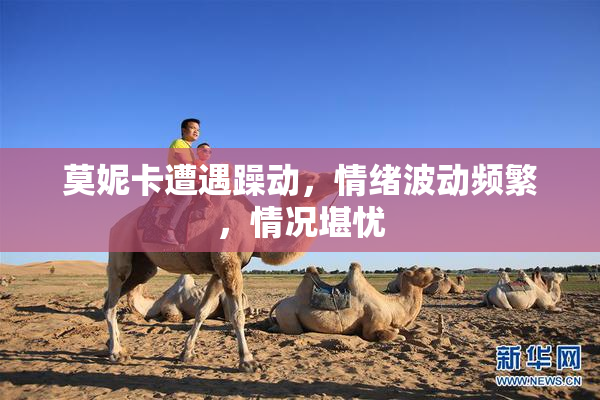 莫妮卡遭遇躁动，情绪波动频繁，情况堪忧
